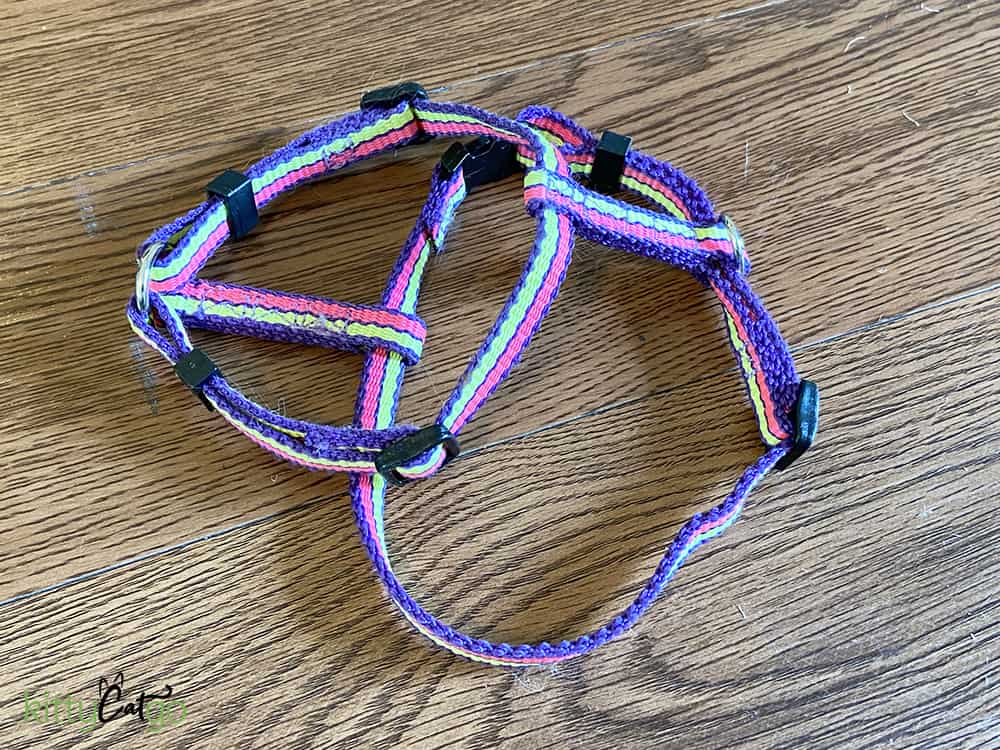 How to Pick Out a Cat Harness - Roman Harneess