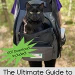 The Ultimate Guide to Backpack Training Your Cat - black cat in a cat backpack carrier