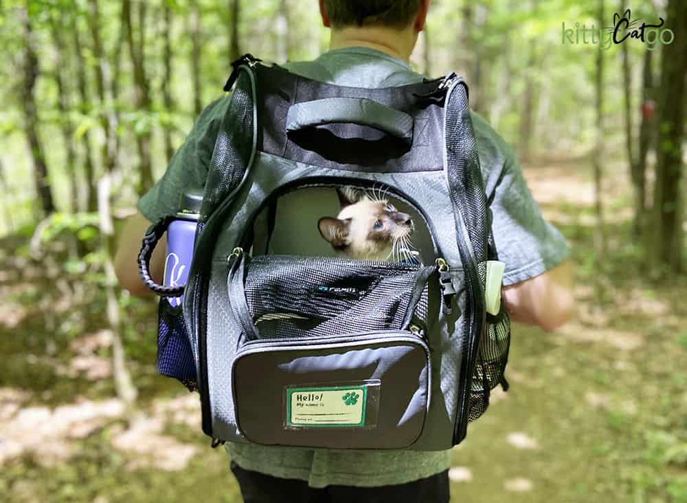 My cat outlet backpack