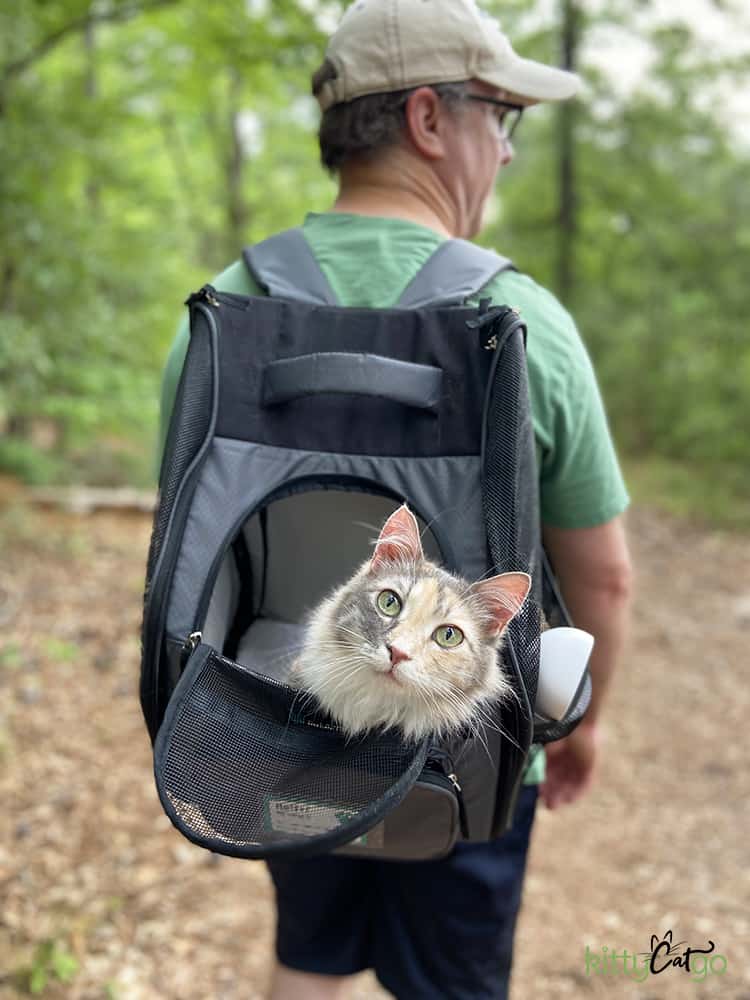 Adventure Cat riding in backpack carrier