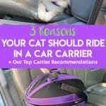 3 Reasons Your Cat Should Ride in a Car Carrier