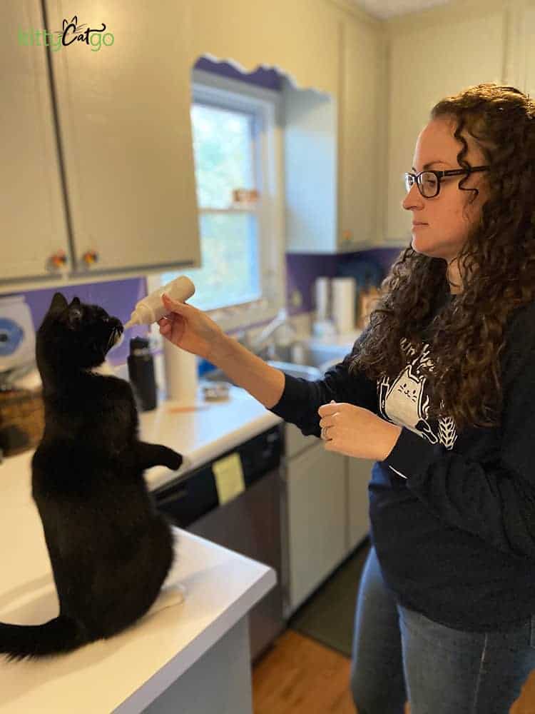 cat enjoying homemade churu lickable cat treat