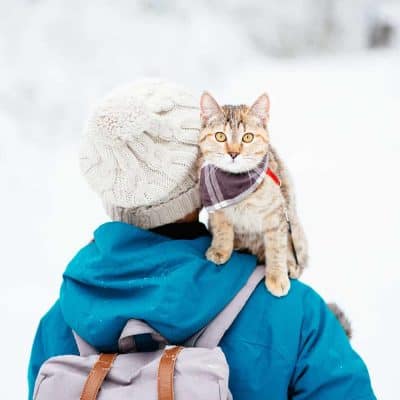 cat riding on human's shoulders in the snow