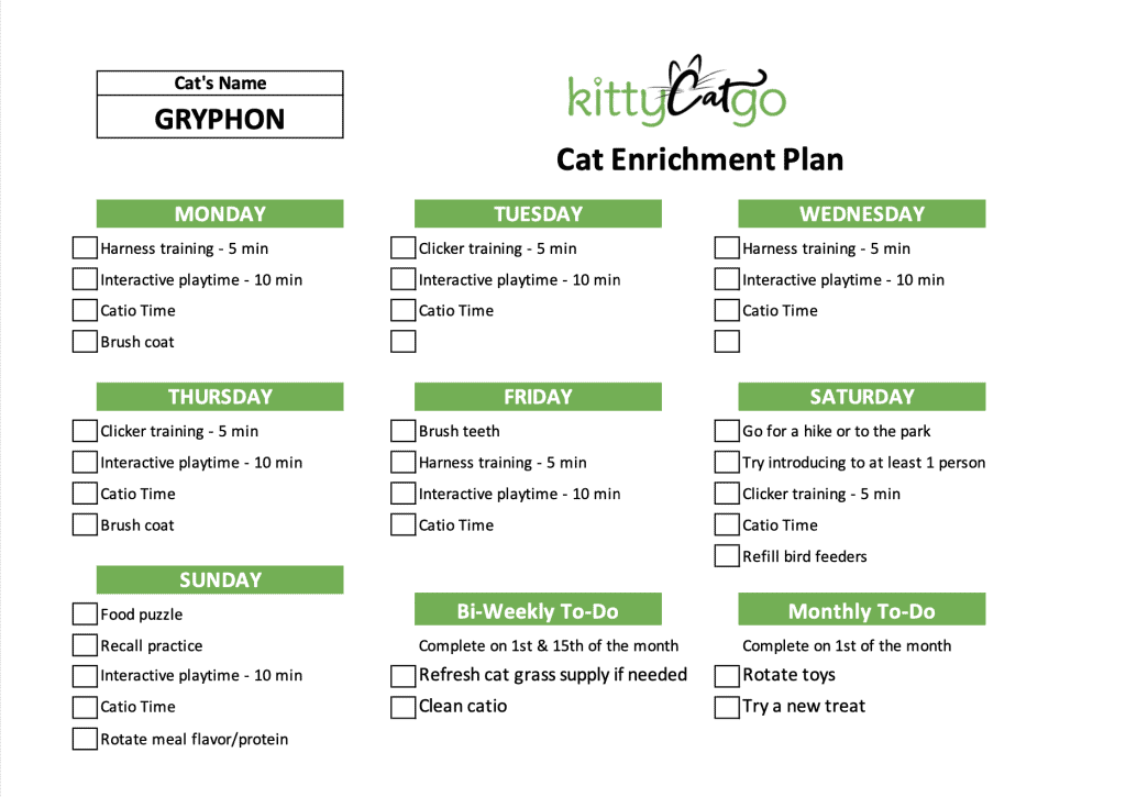 Gryphon's Cat Enrichment Plan
