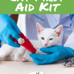 Putting Together a Cat First Aid Kit - Pinnable Image