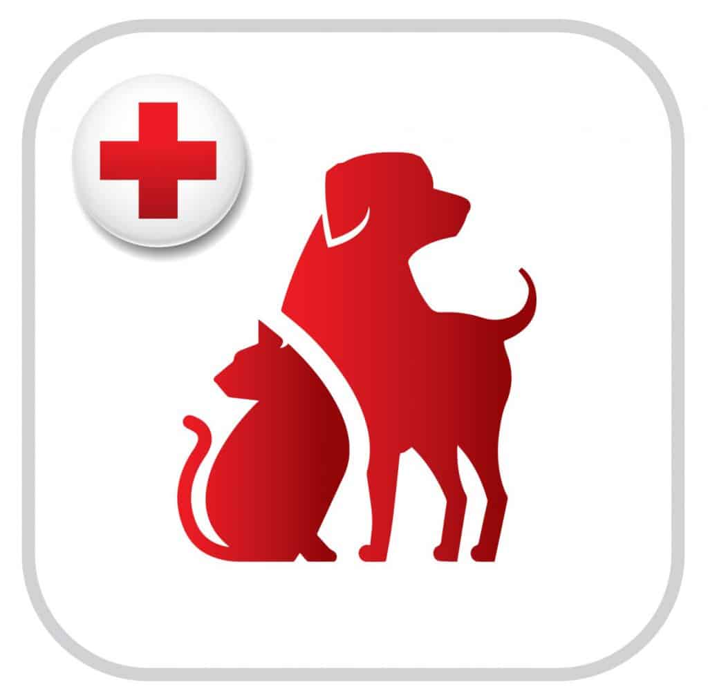Pet First Aid App Icon