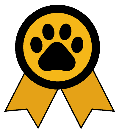 Champion Adventurer - KittyCatGO Adventure Challenge
