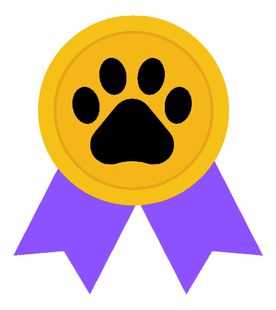 Expert Adventurer - KittyCatGO Adventure Challenge
