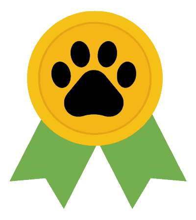 Novice Title - KittyCatGO Adventure Challenge