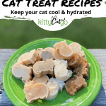 6 Easy Frozen Cat Treat Recipes - Pinnable Image of a plate with frozen treats