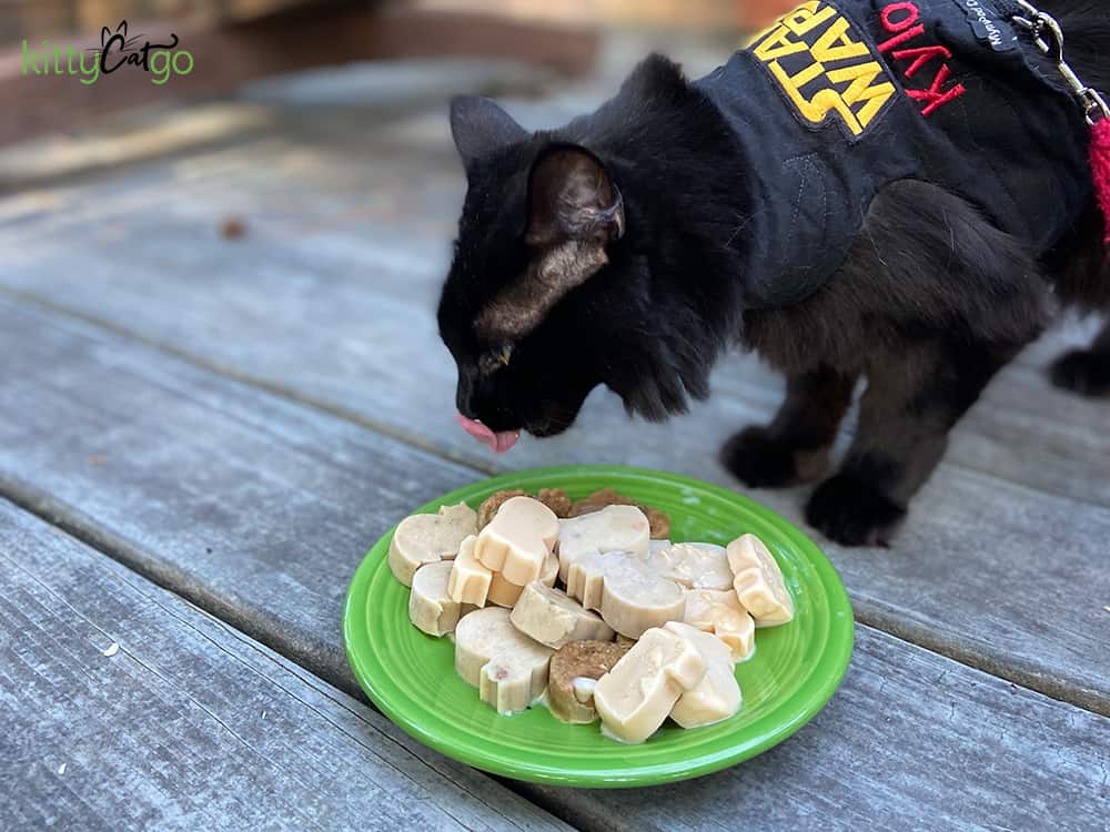 cat licking frozen cat treats