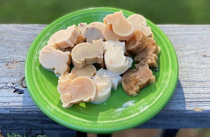 frozen cat treats on a plate