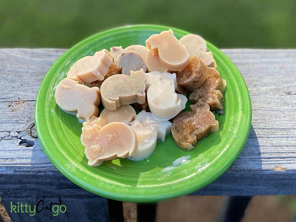 frozen cat treats on a plate