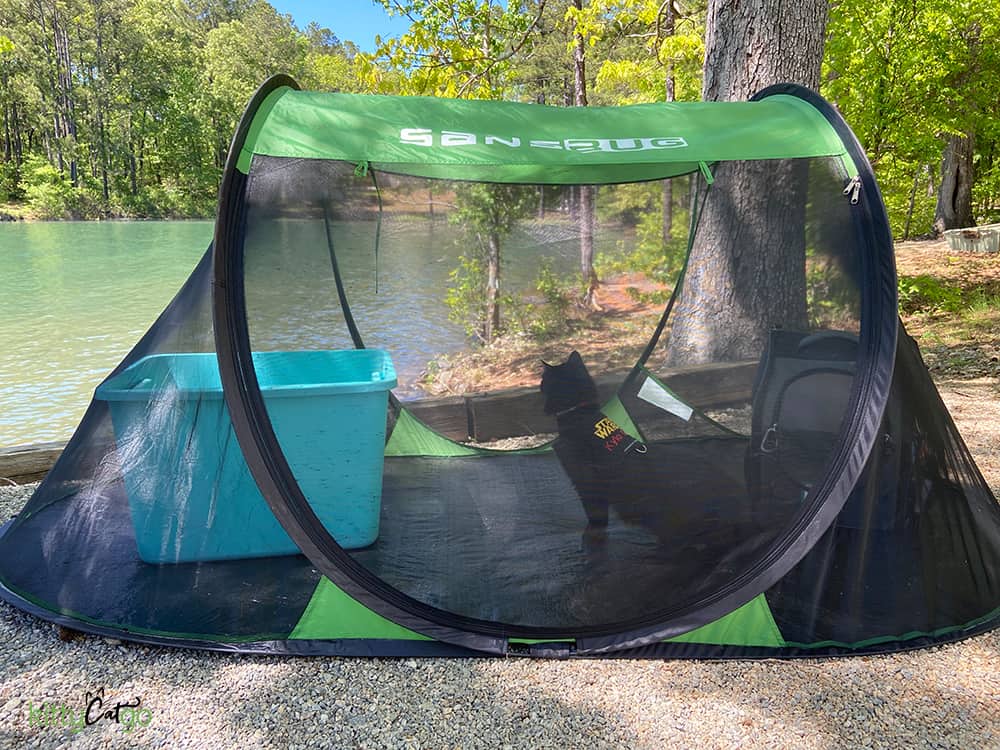 camping cat in a mesh tent beside a lake