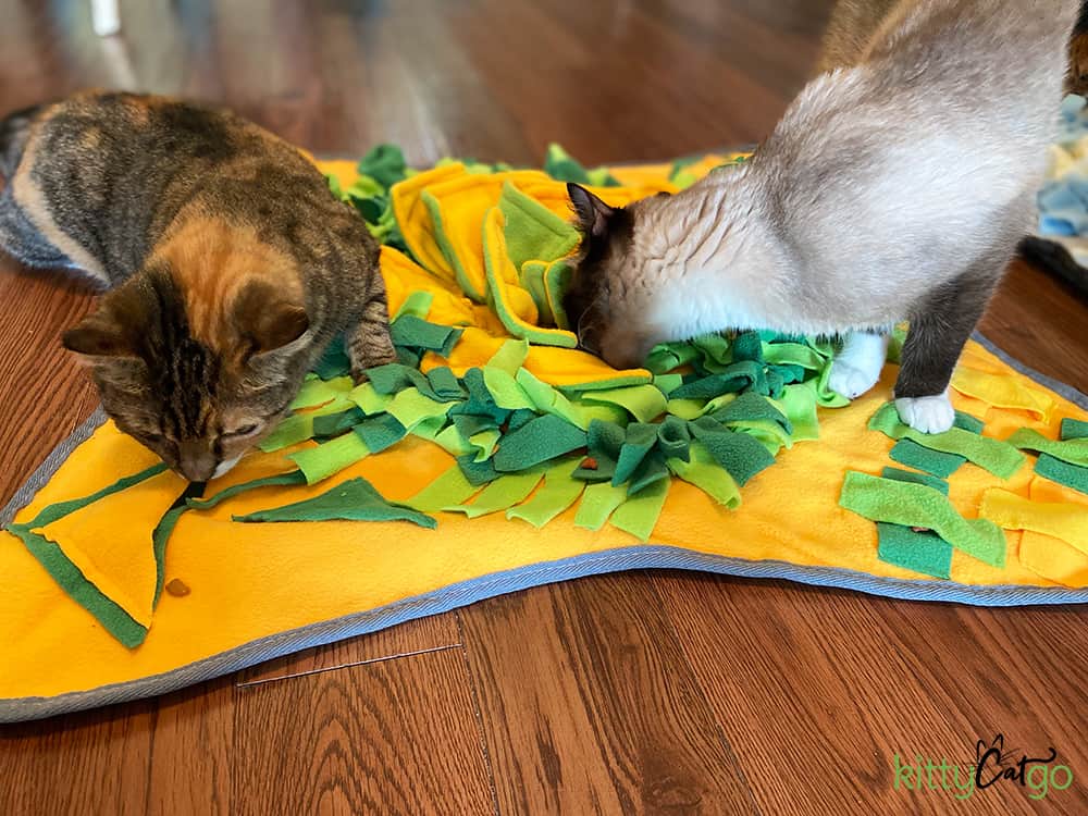 How many of you have a snuffle mat for your cat? : r/CATHELP