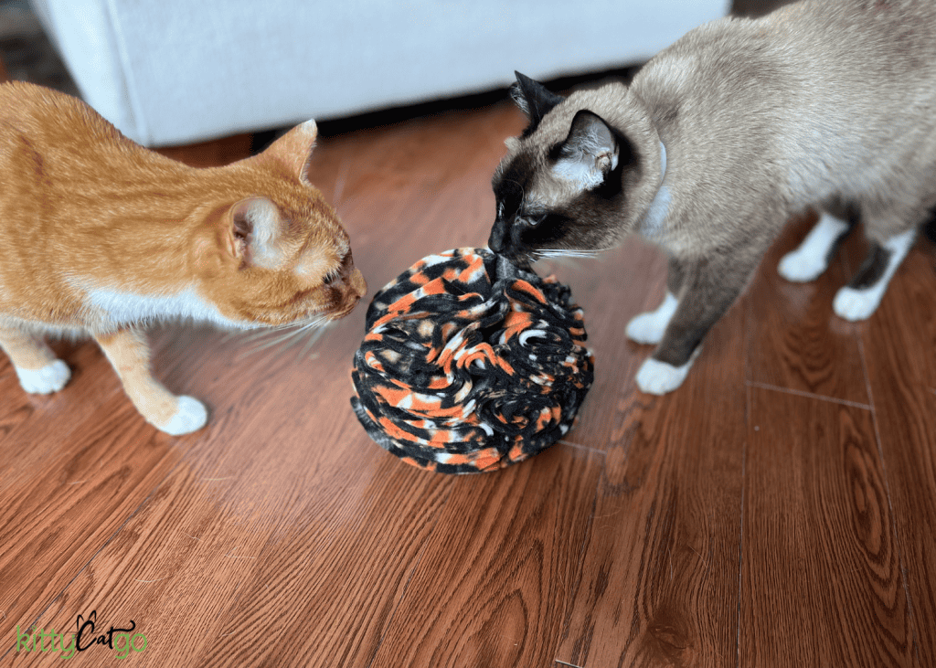 two cats playing with a snuffle ball, a cat enrichment toy