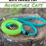 Stocking Stuffer Gift Ideas for Cat Adventurers - Pinnable Image