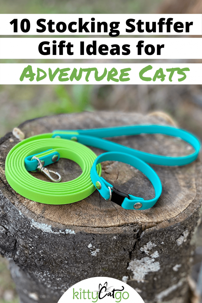 Stocking Stuffer Gift Ideas for Cat Adventurers - Pinnable Image