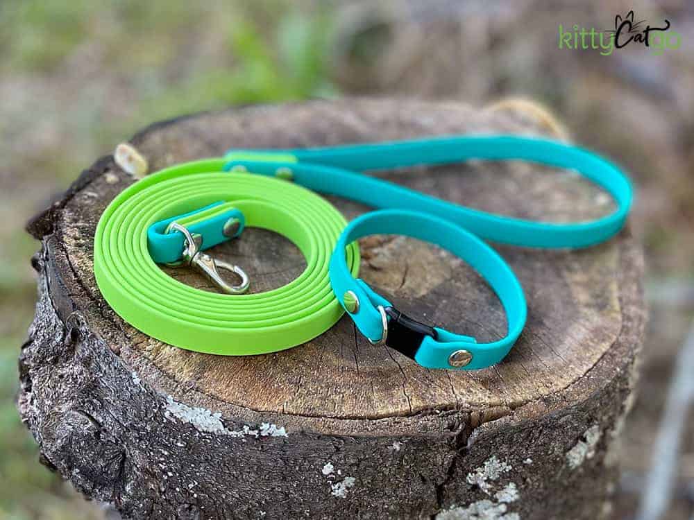 Kylo Collar and Leash Set - teal and lime green