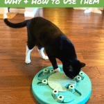 Cat Food Puzzles - How & Why to Use Them Pinnable Image