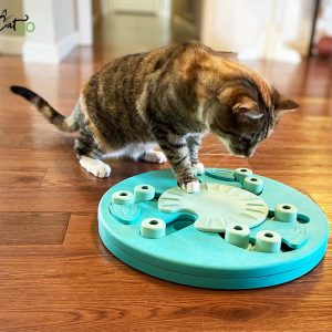 Cat Food Puzzles: How and Why to Use Them