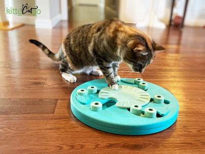Cat solving Worker Cat Food Puzzle by Nina Ottosson