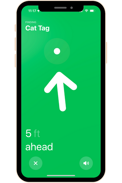 Apple AirTag for cats - screenshot using precision finding