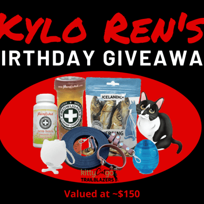 Kylo Ren's Birthday Giveaway Image