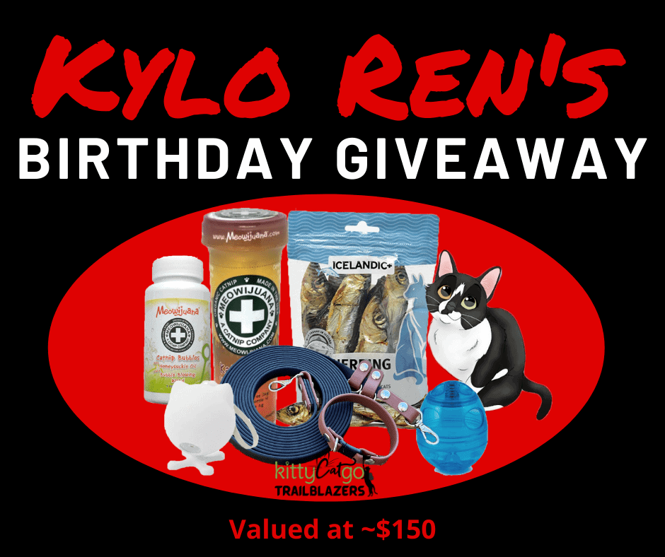 Kylo Ren's Birthday Giveaway Image