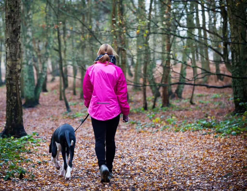 Dog on leash hiking with woman