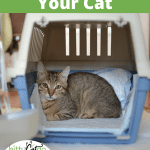 How to Get a Cat in a Carrier Pinnable Image