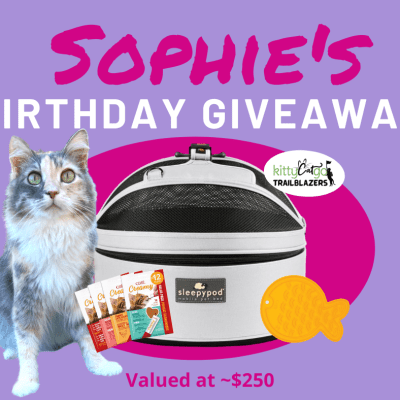 Sophie's 10th Birthday Giveaway Graphic