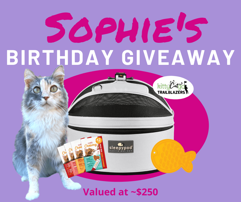 Sophie's 10th Birthday Giveaway Graphic