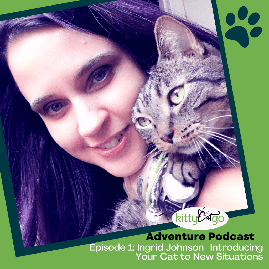 KittyCatGO Adventure Podcast - Ingrid Johnson: Introducing Your Cat to New Situations