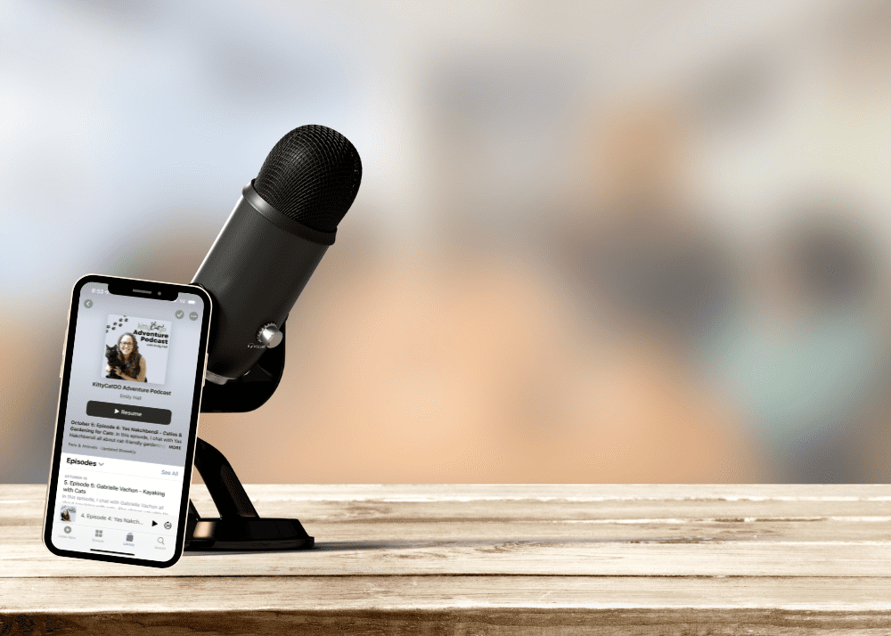 podcast mic with phone displaying KittyCatGO Adventure Podcast