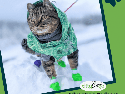 KittyCatGO Adventure Podcast: Stephanie Ketterer - Winter Adventures with Cats