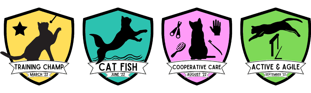 KittyCatGO Trailblazers Badge Examples