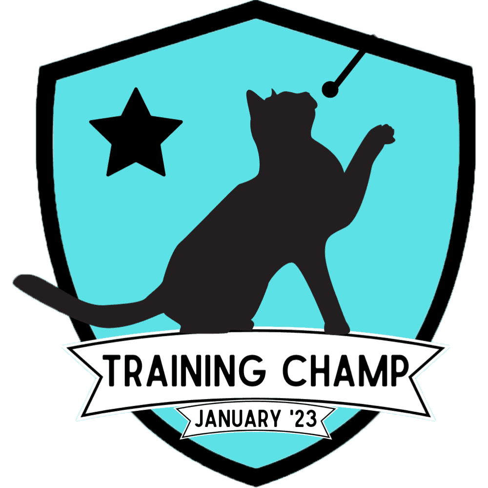 January '23 Challenge Badge