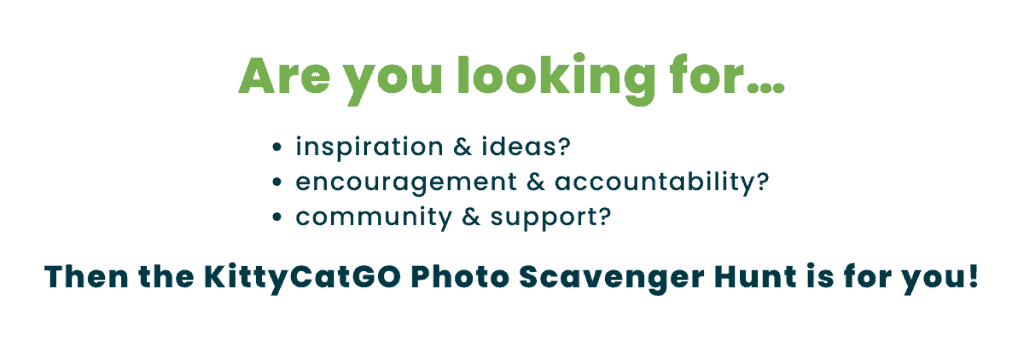 Are you looking for... inspiration & ideas? Encouragement & accountability? Community & support? Then the KittyCatGO Photo Scavenger hunt is for you!