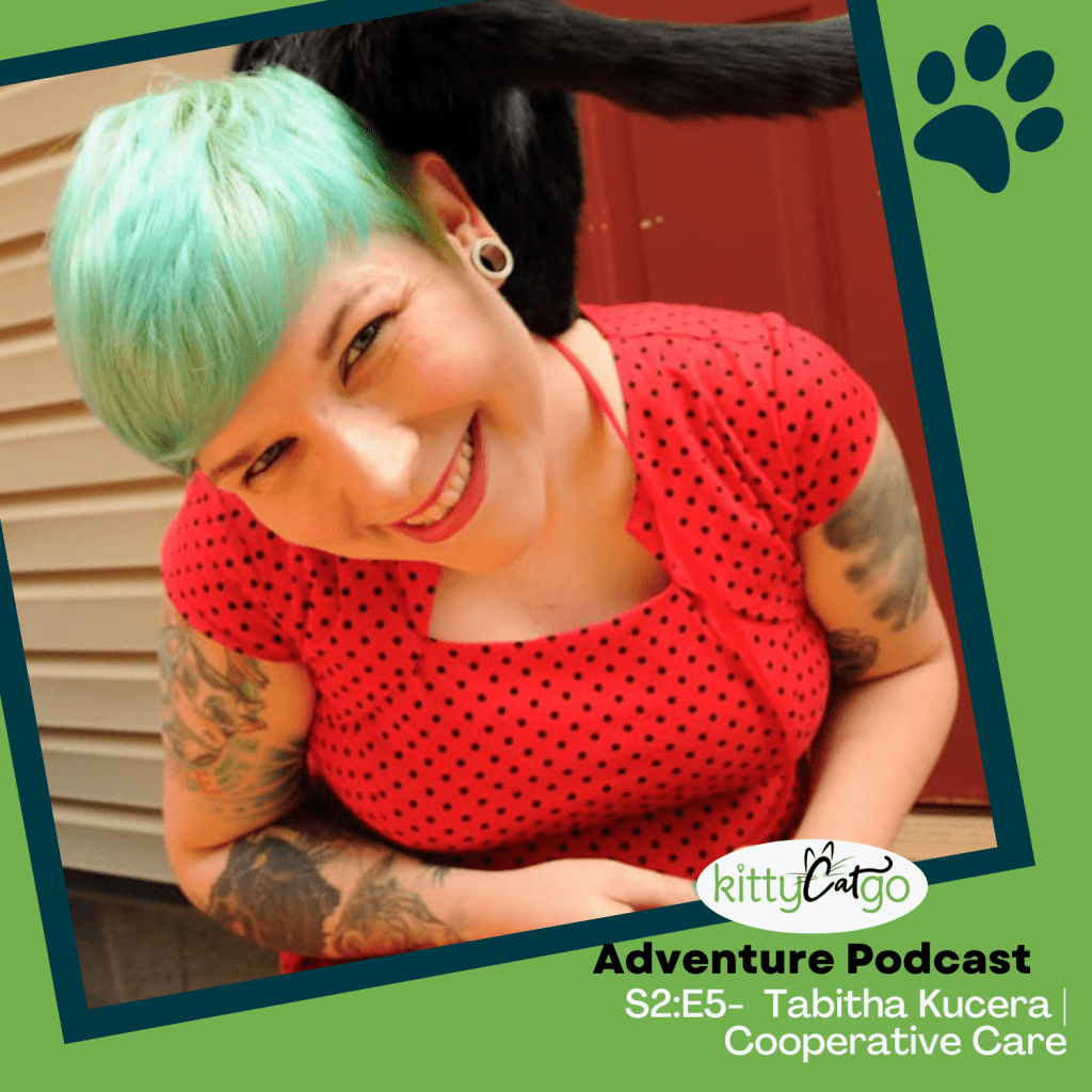 Cooperative Care with Tabitha Kucera - KittyCatGO Podcast Artwork