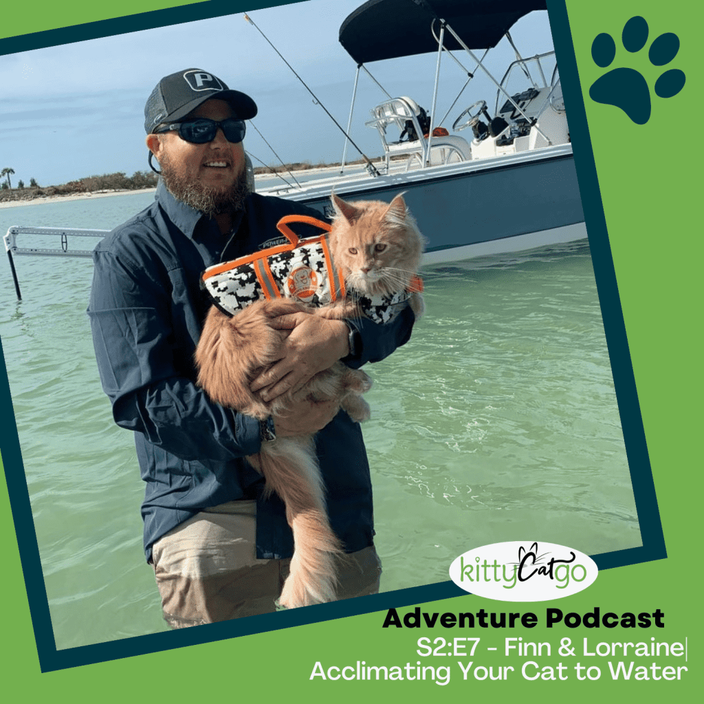 KittyCatGO Adventure Podcast Episode Artwork - getting your cat acclimated to water