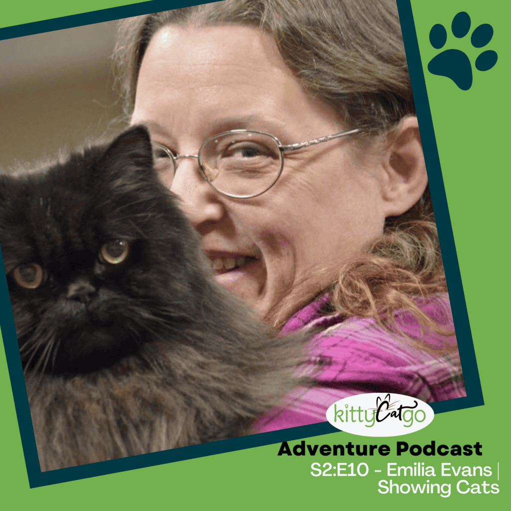 KittyCatGO Adventure Podcast Artwork - Showing Cats with Emilia Evans