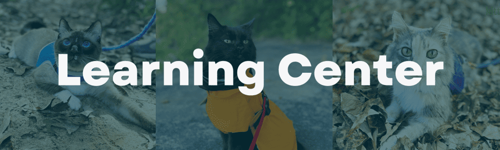 KittyCatGO Learning Center
