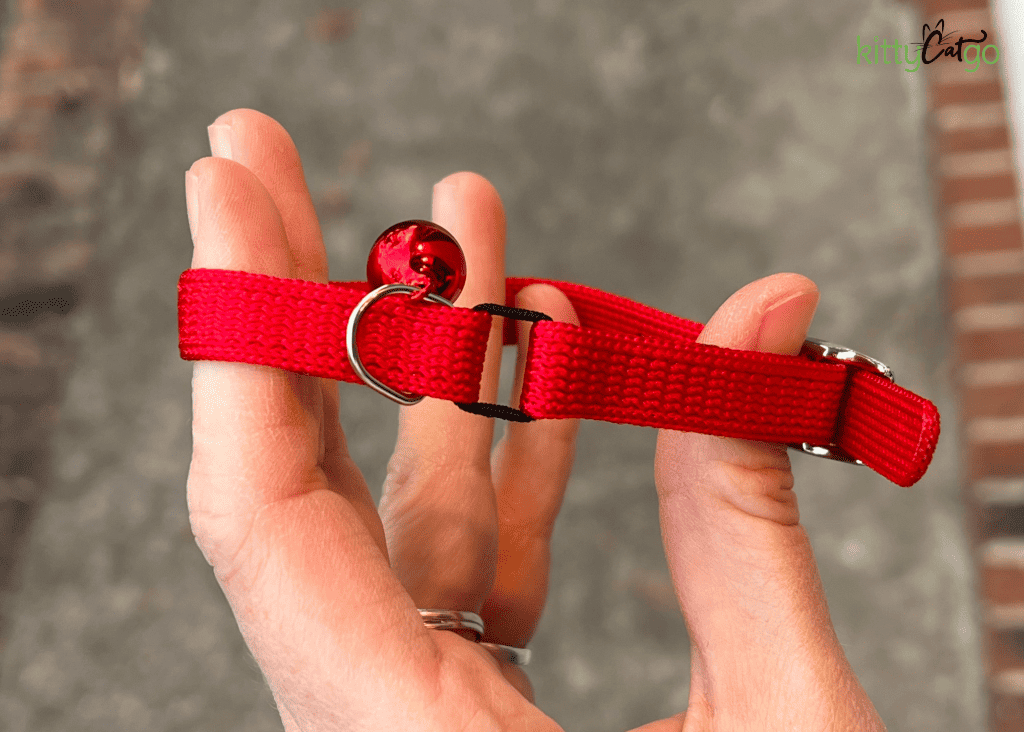 Cat collars with 2024 buckle and elastic