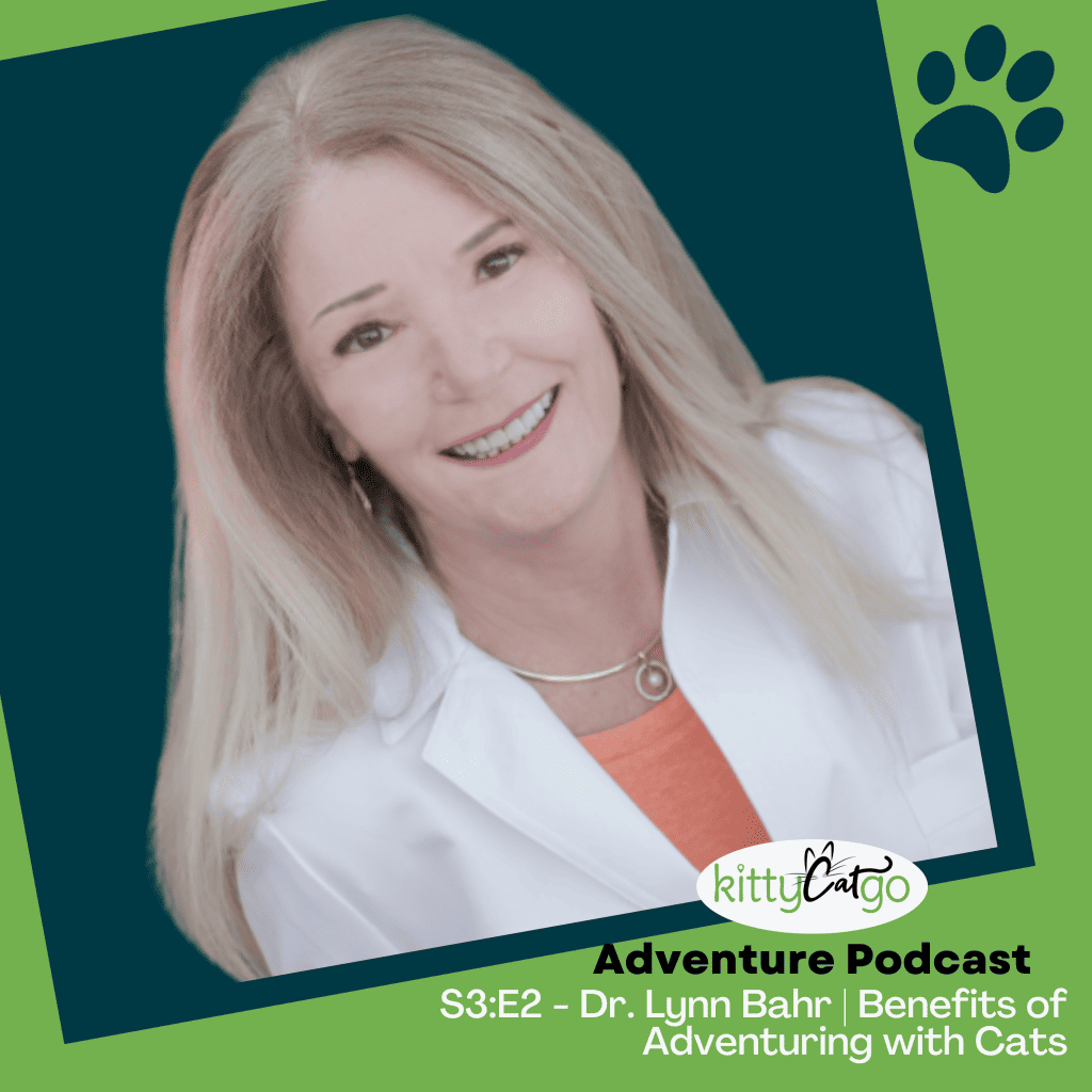 KittyCatGO Adventure Podcast - Benefits of Adventuring with Cats with Dr. Lynn Bahr