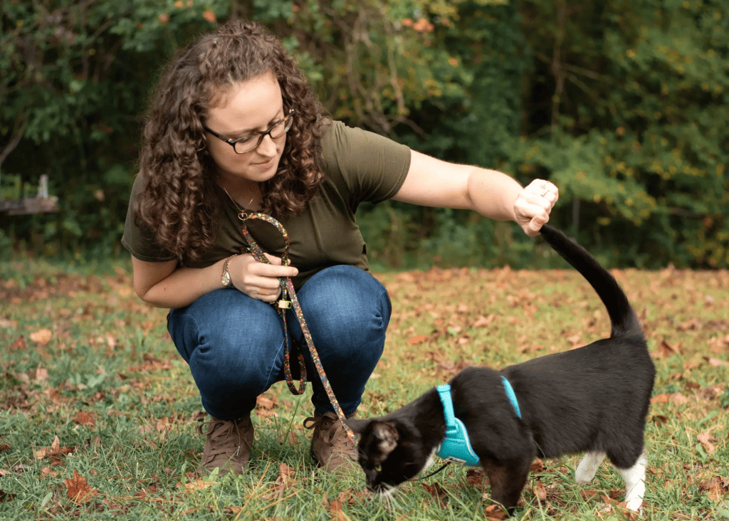 Homemade Lickable Cat Food Recipe Hydration On the Go KittyCatGO