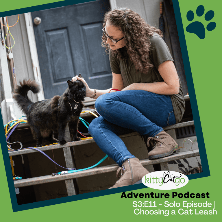 KittyCatGO Adventure Podcast - choosing a cat leash