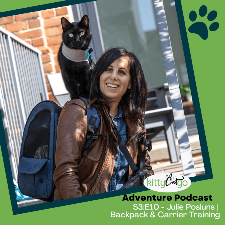 KittyCatGO Adventure Podcast - backpack and carrier trianing