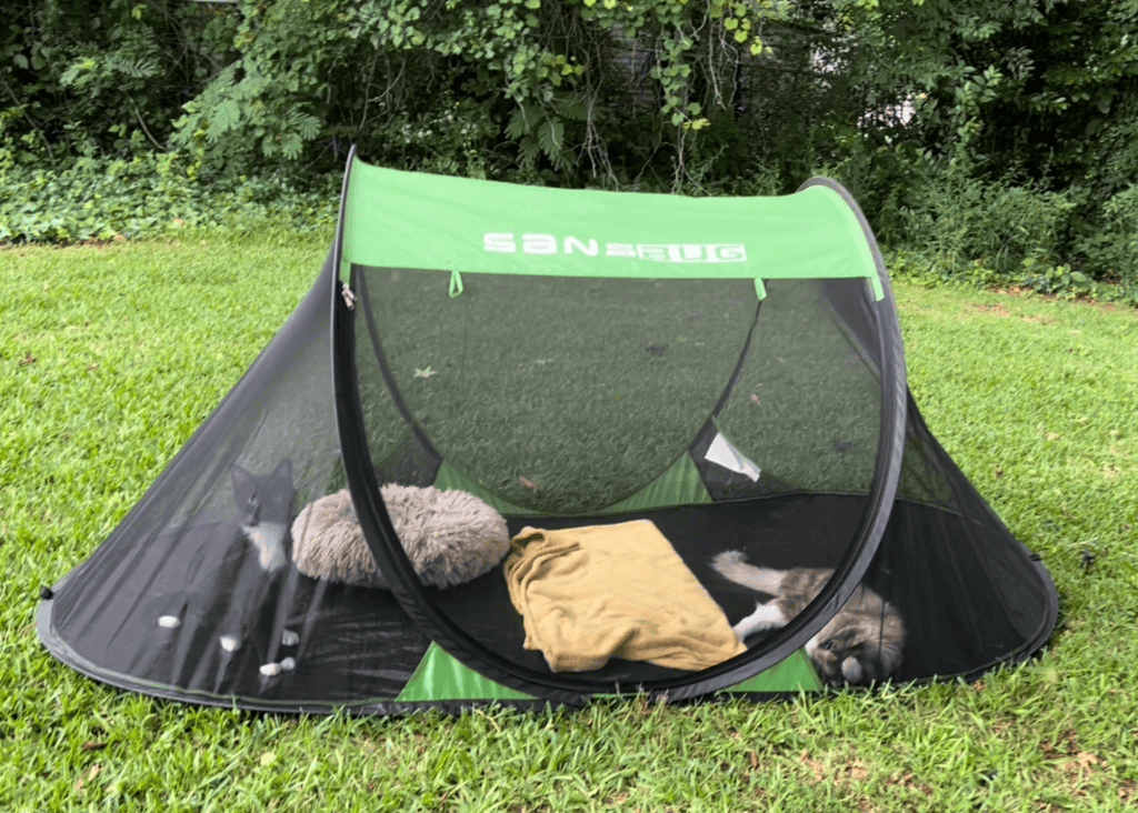 cats hanging out in a mesh tent outside