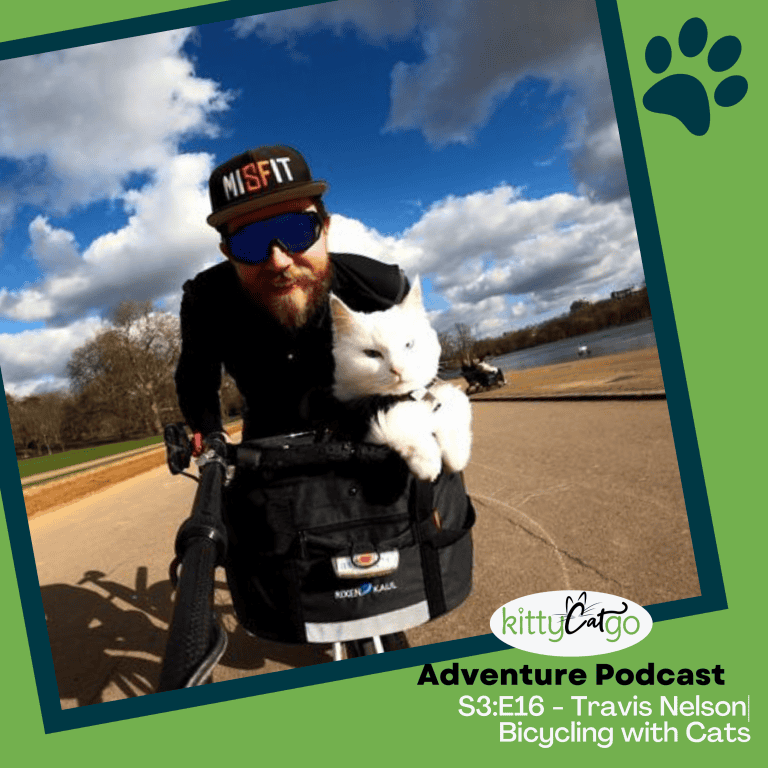 KittyCatGO Adventure Podcast - Bicycling with Cats